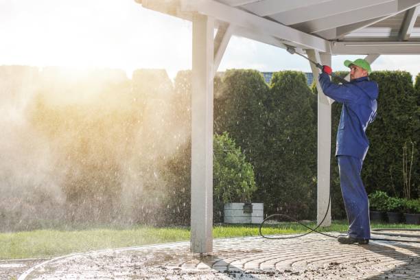 Best Solar Panel Cleaning  in Marceline, MO